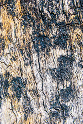 Similar image 7694316