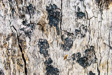 Similar image 7694317