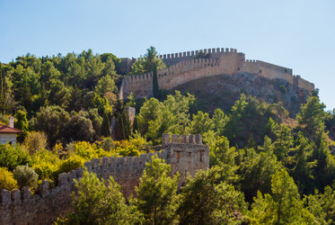 Similar image 7694318