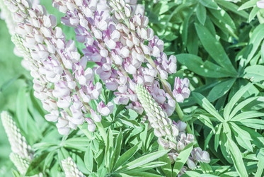 Similar image 7694319