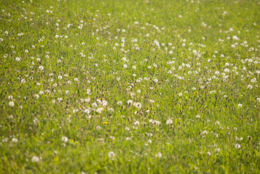 Similar image 7694320