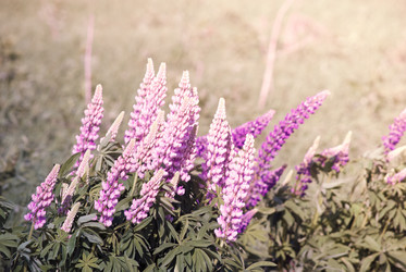 Similar image 7694321