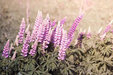 Similar image 7694322