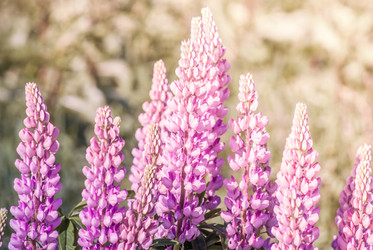 Similar image 7694323