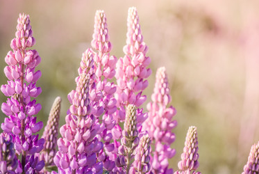 Similar image 7694325