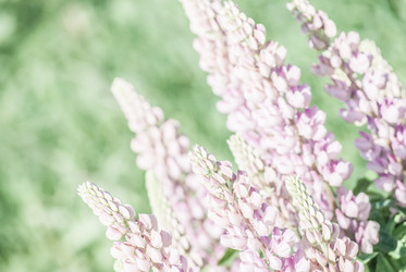 Similar image 7694327