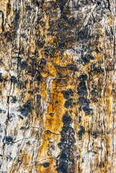 Similar image 7694328