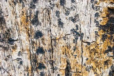 Similar image 7694329