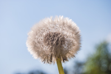 Similar image 7694332