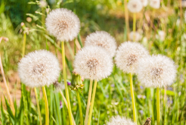 Similar image 7694333