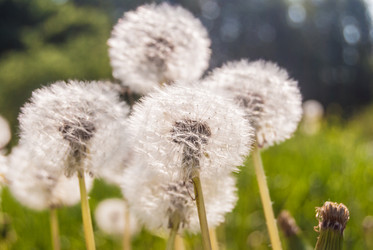 Similar image 7694334