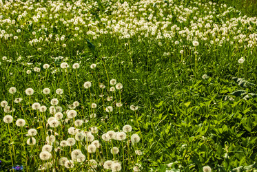 Similar image 7694337