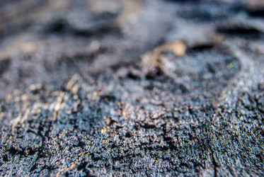 Similar image 7694340