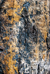 Similar image 7694341