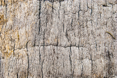 Similar image 7694342