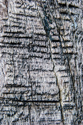 Similar image 7694343