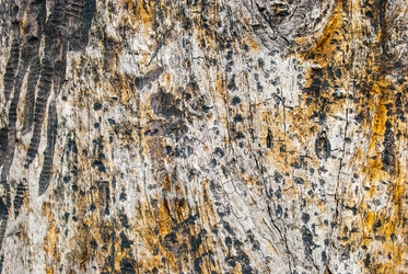 Similar image 7694344