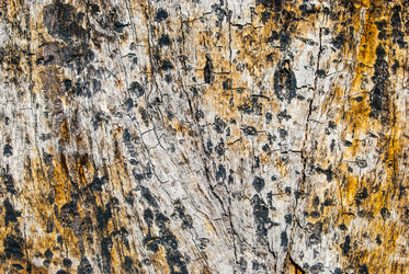 Similar image 7694345