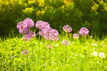 Similar image 7694358