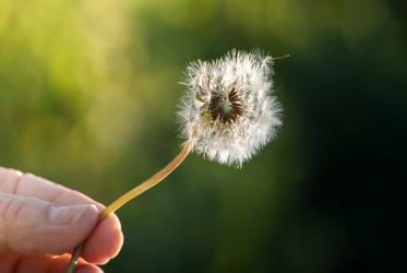 Similar image 7694361