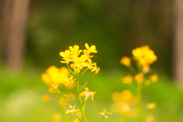 Similar image 7694380