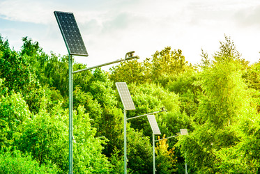 Similar image 7694381