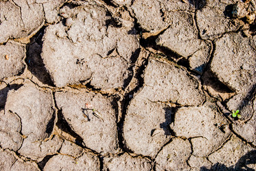 Similar image 7694415