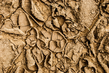 Similar image 7694424