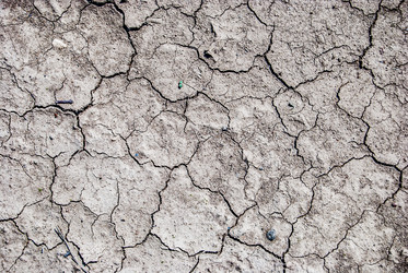 Similar image 7694443