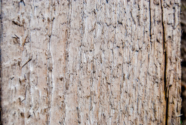 Similar image 7694464