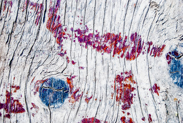 Similar image 7694476