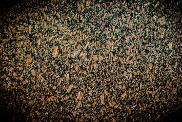 Similar image 7694481