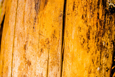 Similar image 7694490