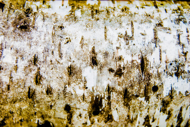 Similar image 7694491