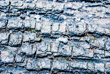 Similar image 7694493