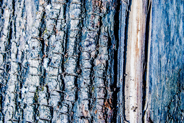 Similar image 7694495