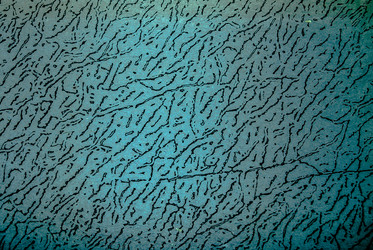 Similar image 7694496