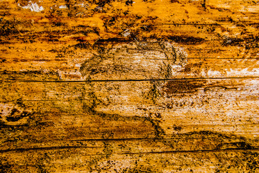 Similar image 7694500