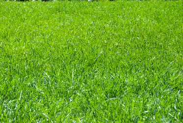 Similar image 7694501