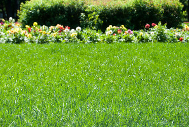 Similar image 7694503