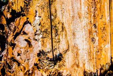 Similar image 7694504