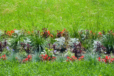 Similar image 7694505