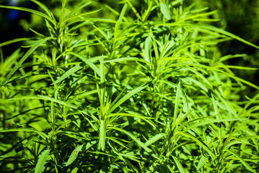 Similar image 7694508