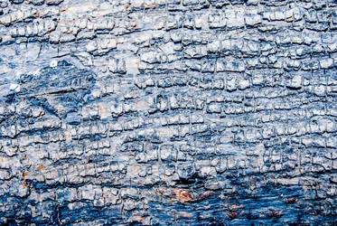 Similar image 7694509