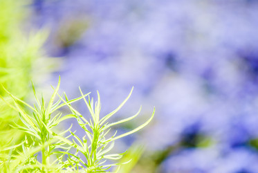 Similar image 7694518