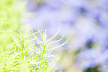 Similar image 7694519