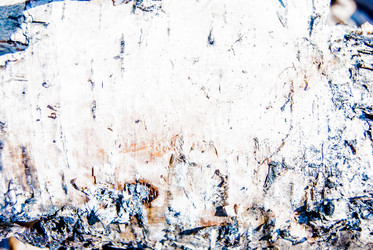 Similar image 7694520