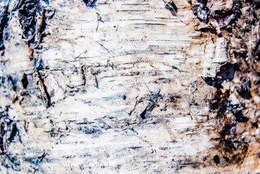 Similar image 7694522