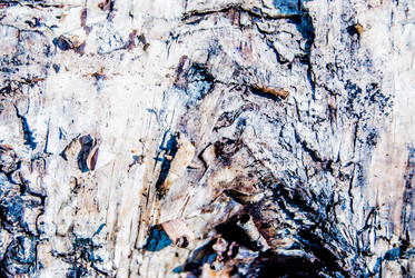 Similar image 7694523