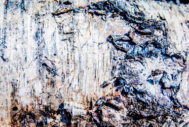 Similar image 7694524